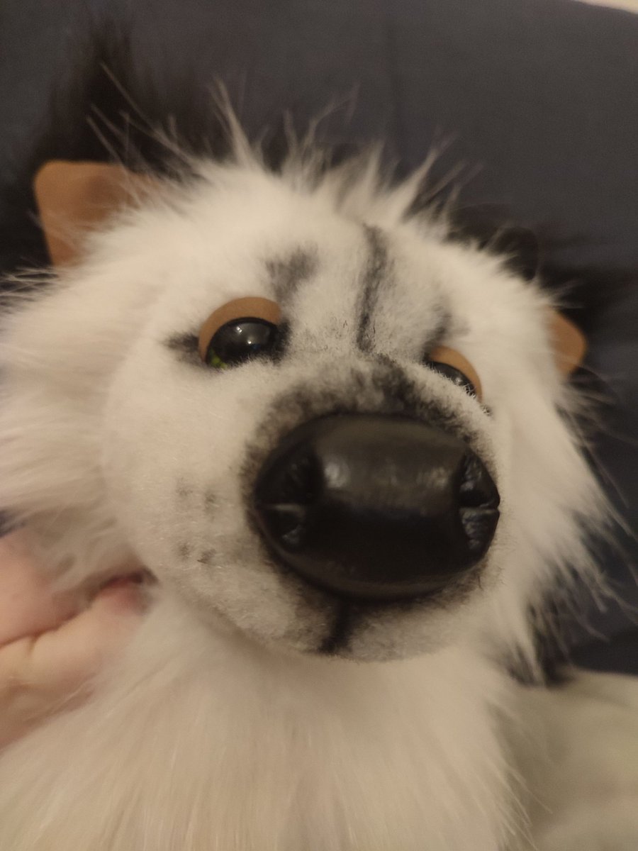 Robin | ➡️ BSKY tweet media