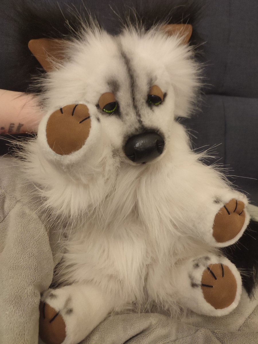 Robin | ➡️ BSKY tweet media