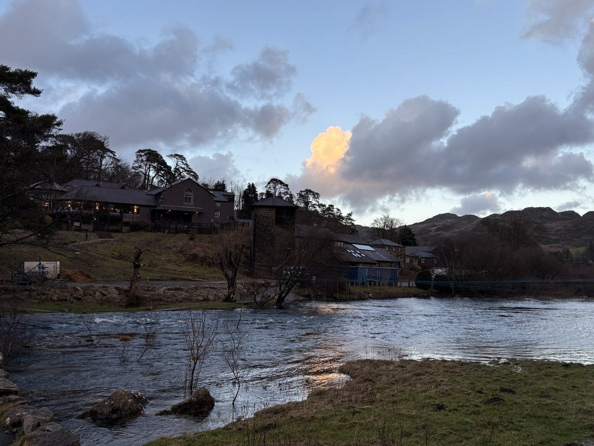 Andrew Sutherland tweet media