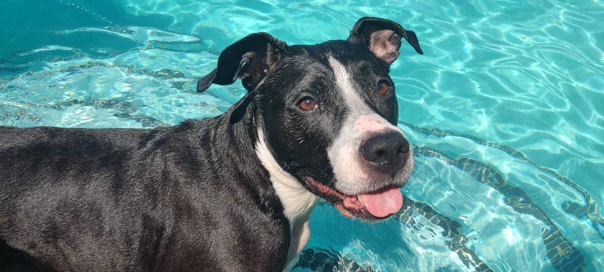 Carlos Leiva tweet media