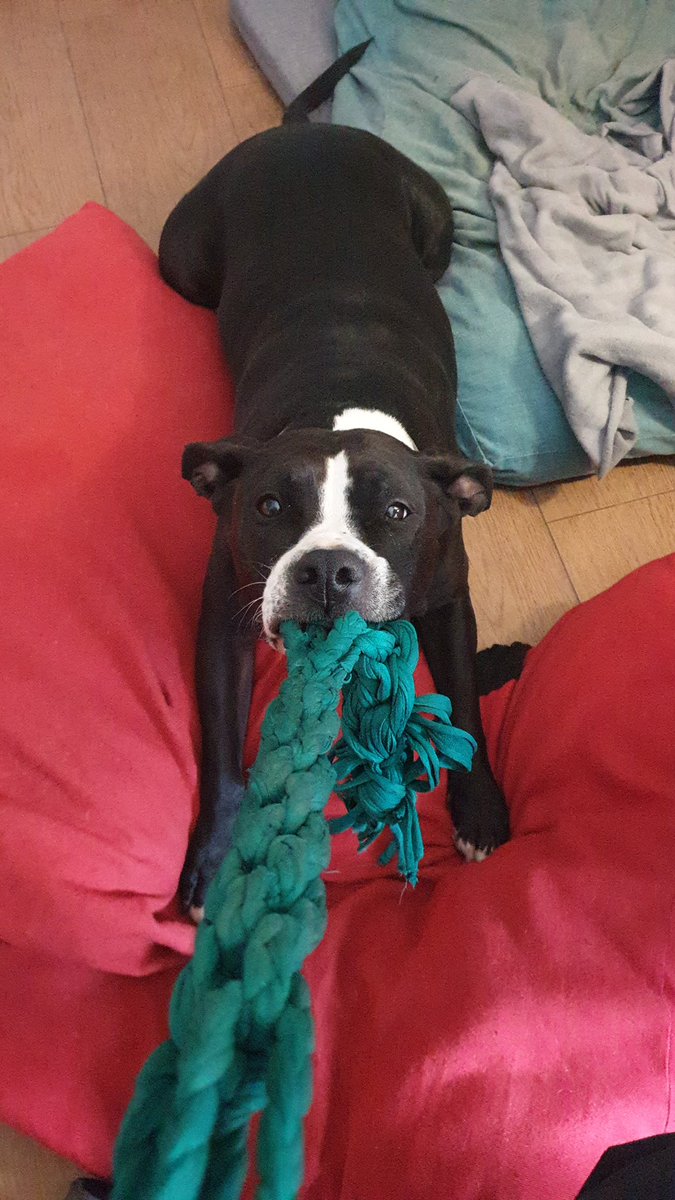 Carlos Leiva tweet media