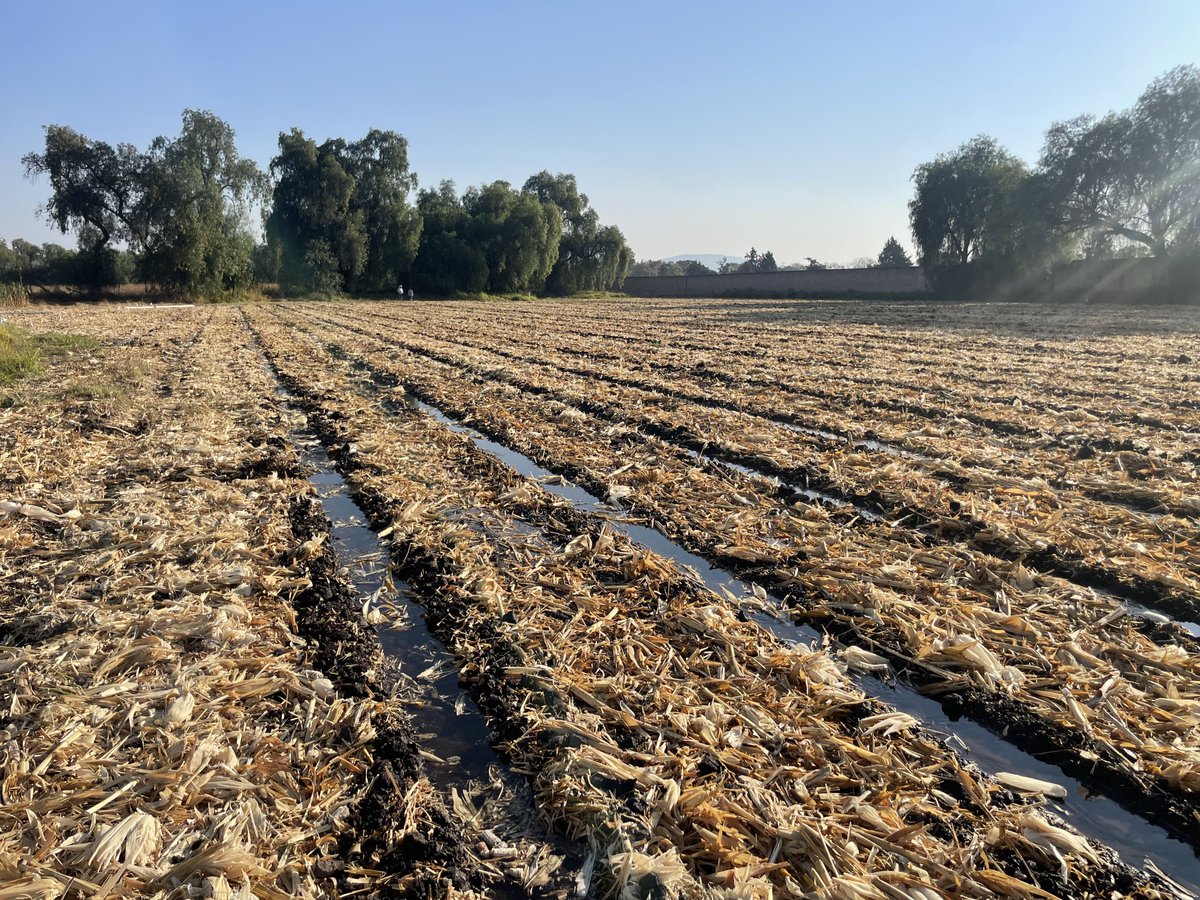 Uso eficiente del agua en agricultura de conservación 

¡Cuidemos el recurso más valioso mientras producimos el campo!

#YoSiembroAC