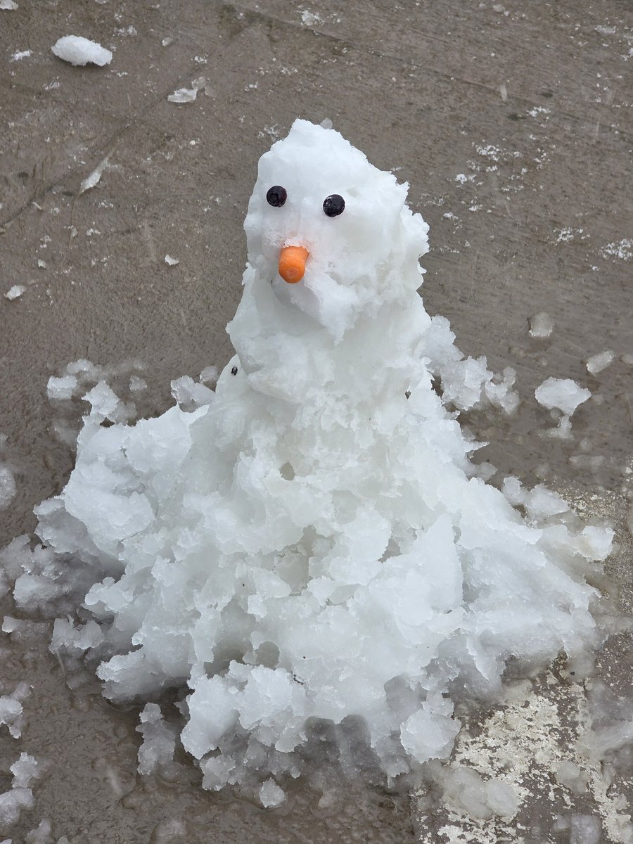 Michael Snyder tweet media