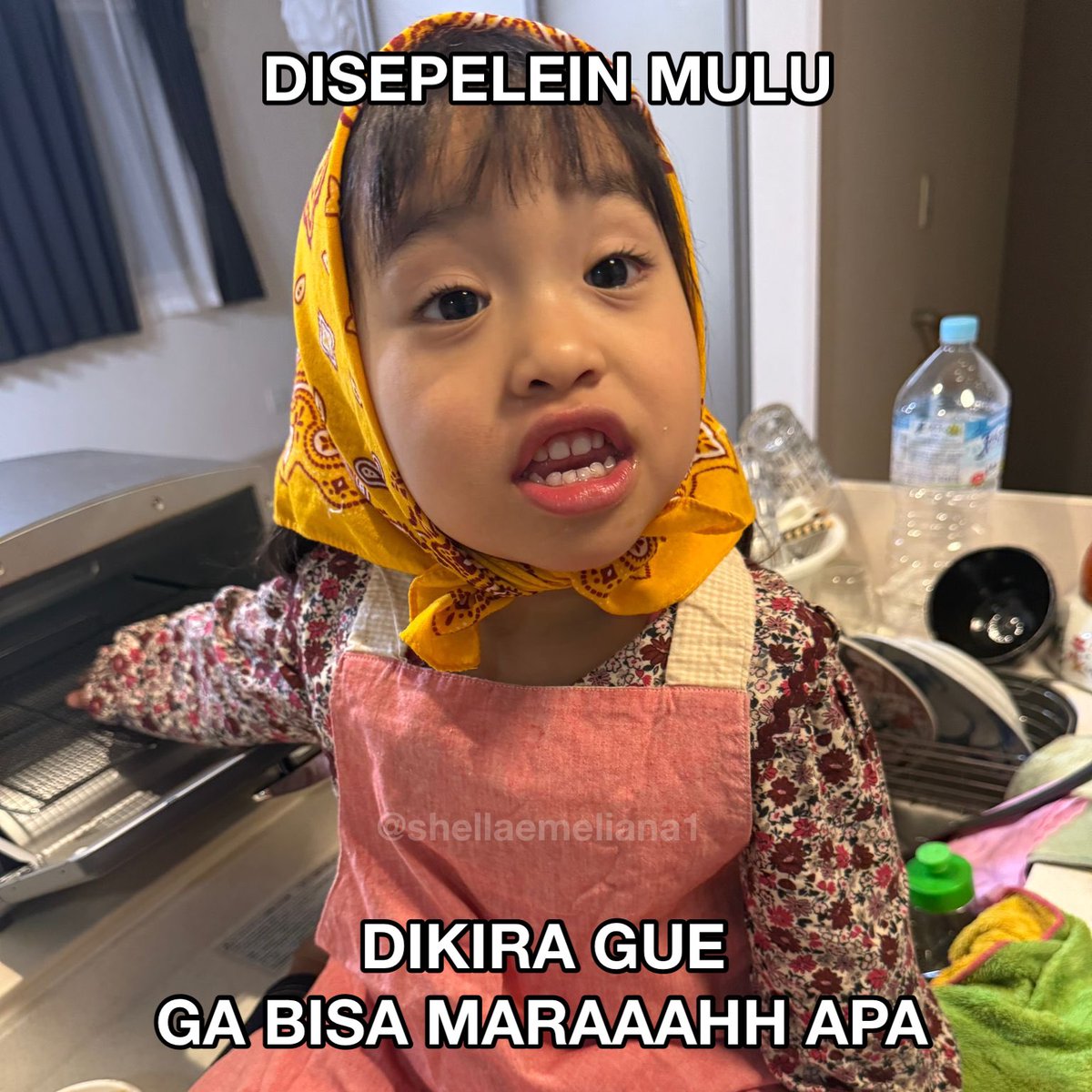 S H E L L A tweet media