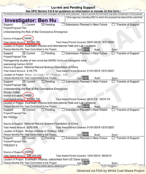 Elon Musk discovers that USAID funded and created the bioweapon “COVID-19” that killed millions.
This is a breakdown of funding exceeding US$40 million.
