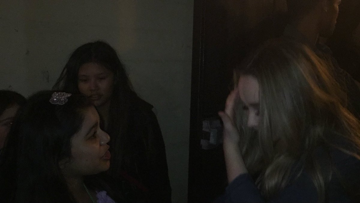 draculina tweet media