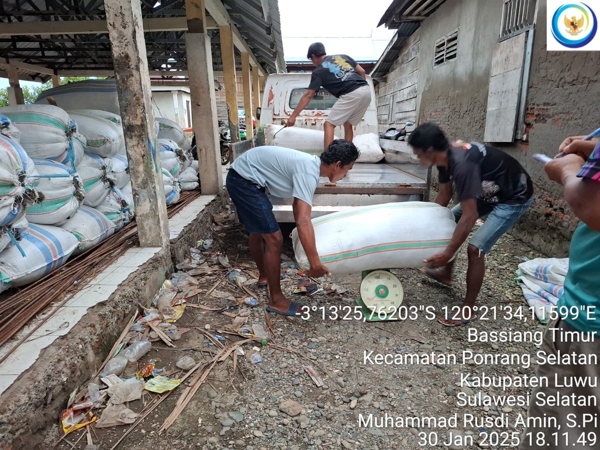 75Rusdi1's tweet photo. Kamis, 30/01/2025 Muhammad Rusdi Amin, S.Pi Luhkan Luwu mendampingi anggota Pokdakan Turungan Bersama Desa Bassiang Timur penjualan rumput laut Gracillaria sebanyak 1.900 kg (kering) harga Rp.4.200/kg
#GiatLuhkanSatminkalMaros 
#luhlapor
#panen
@BRPBAP3_Maros https://t.co/yDruwMUJnO