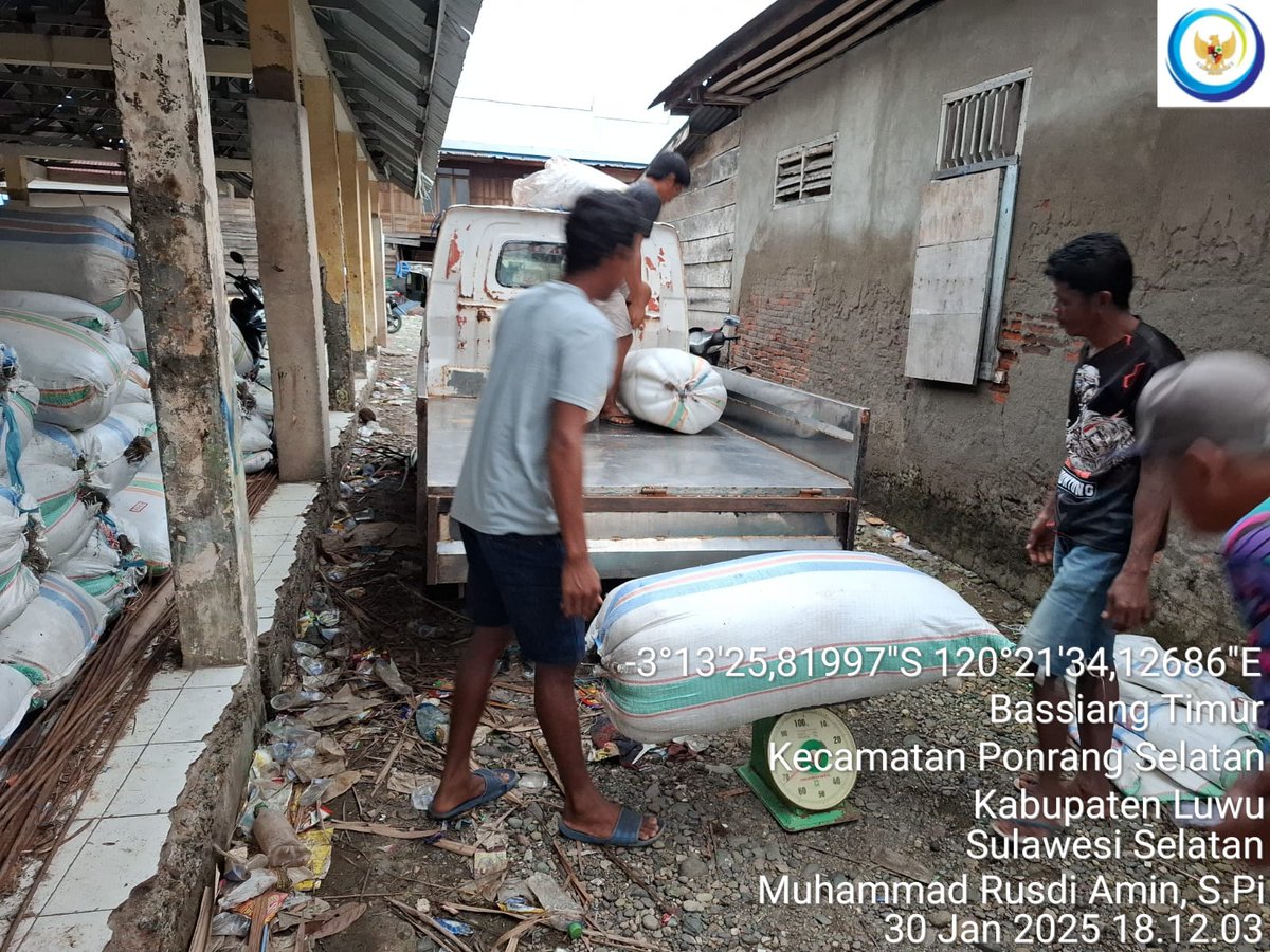 75Rusdi1's tweet photo. Kamis, 30/01/2025 Muhammad Rusdi Amin, S.Pi Luhkan Luwu mendampingi anggota Pokdakan Turungan Bersama Desa Bassiang Timur penjualan rumput laut Gracillaria sebanyak 1.900 kg (kering) harga Rp.4.200/kg
#GiatLuhkanSatminkalMaros 
#luhlapor
#panen
@BRPBAP3_Maros https://t.co/yDruwMUJnO