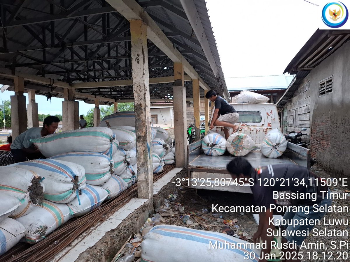 75Rusdi1's tweet photo. Kamis, 30/01/2025 Muhammad Rusdi Amin, S.Pi Luhkan Luwu mendampingi anggota Pokdakan Turungan Bersama Desa Bassiang Timur penjualan rumput laut Gracillaria sebanyak 1.900 kg (kering) harga Rp.4.200/kg
#GiatLuhkanSatminkalMaros 
#luhlapor
#panen
@BRPBAP3_Maros https://t.co/yDruwMUJnO