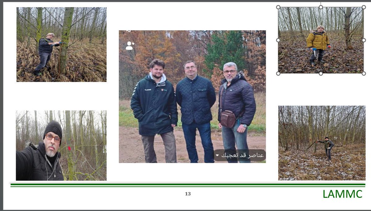 د. ينال أحمد القدسي / Dr. Yanal A.Alkuddsi (@yanalalkuddsi) on Twitter photo 