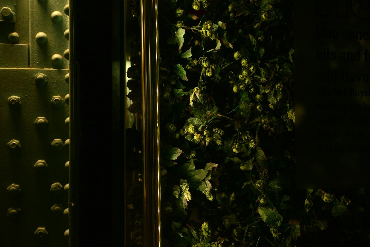 IMGWmeteo's tweet image. Zmiana klimatu i związane z nią implikacje szczególnie mocno uderzają w rolnictwo i przemysł spożywczy.🌍
 
🍻Jedną z branż, która stoi przed potężnymi wyzwaniami jest przemysł piwowarski.
➡️obserwator.imgw.pl/2025/01/30/eko…

#IMGWmeteo #Obserwator