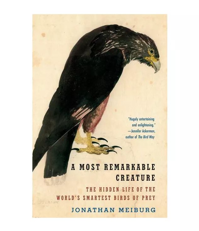 The February Book Club selection is…

A Most Remarkable Creature: The Hidden Life and Epic Journey of the World's Smartest Birds of Prey 
- by Jonathan Meiburg! 

Happy reading 😊