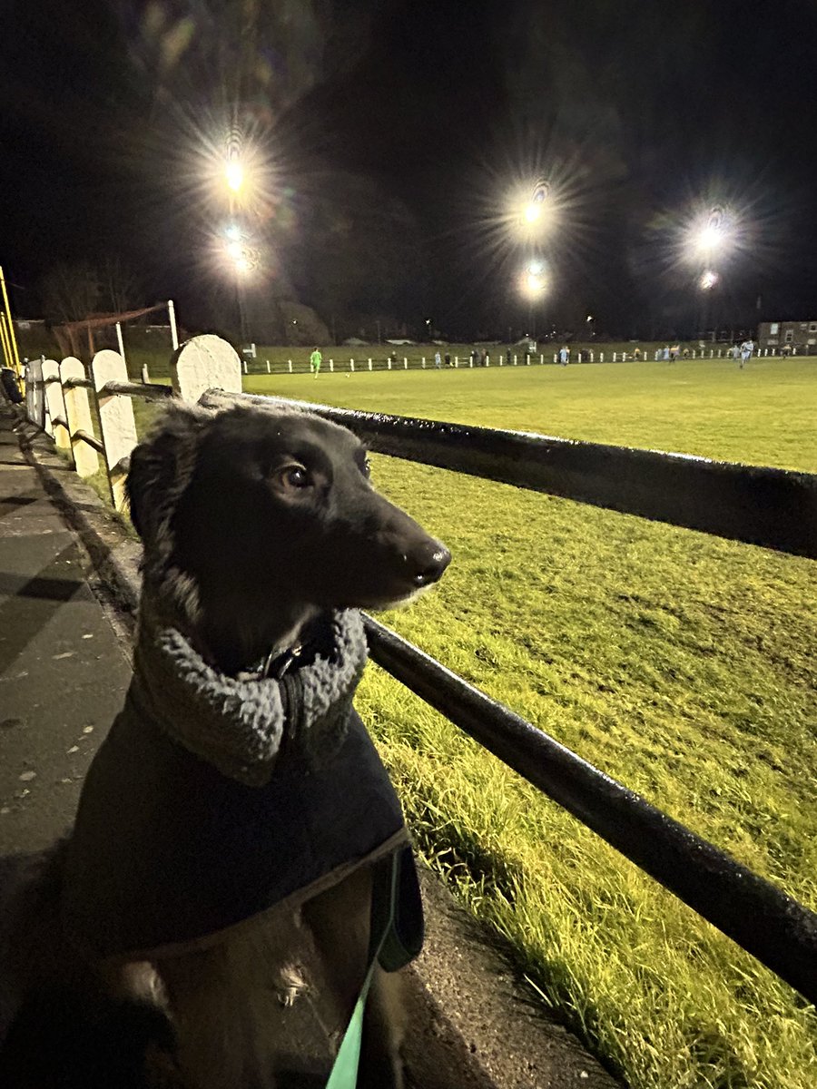 Enjoyable night at the Millfield watching <a href="/crooktown_afc/">Crook Town AFC 🖤💛</a> beat Northallerton 5-1 with my mate Toby