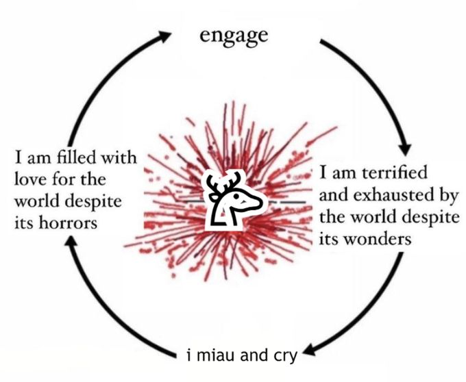 please 😞 tweet media