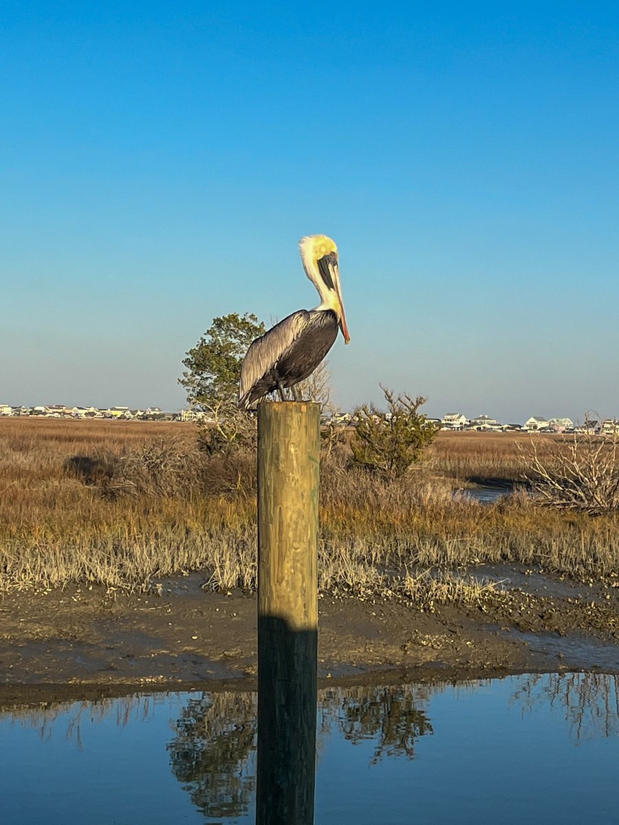 Patterson Baseball ⚾️ etc. tweet media