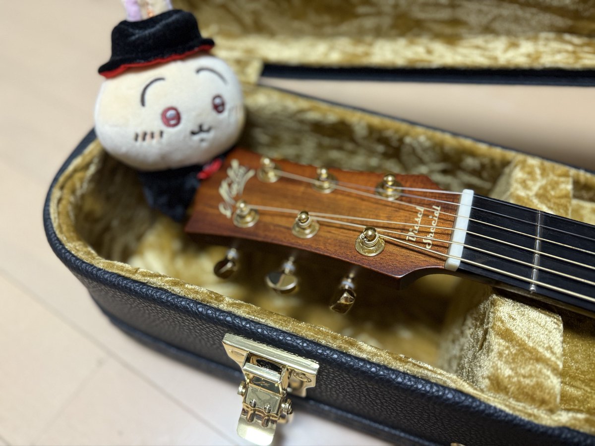 piyoguitar's tweet photo. #生涯唯一無二のメインギター挙げてけ
mini maton EMD6 Diesel Special
maton社が誇る、本気のミニギターです🦘
一生つかいます。
#maton
#メイトン
#minimaton https://t.co/eXVCEech2G