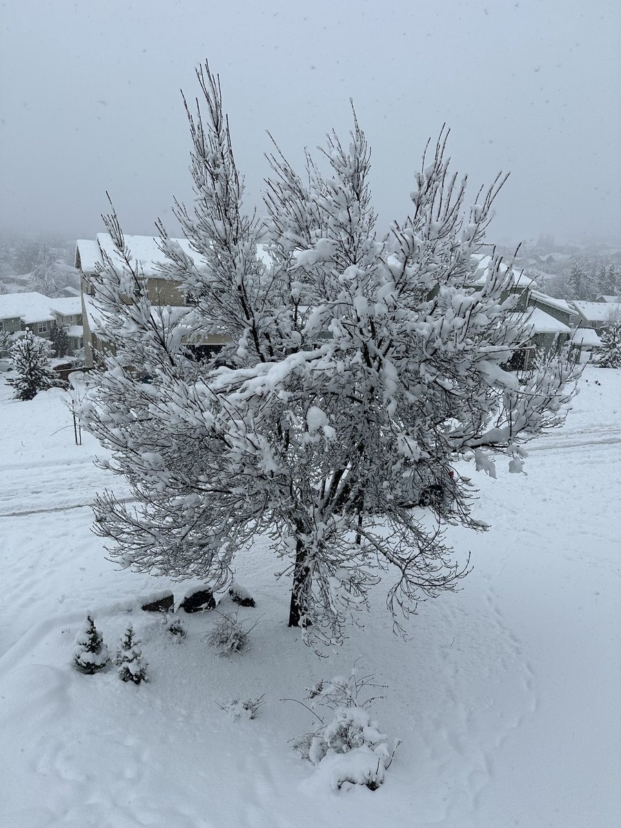 Christine Riley tweet media