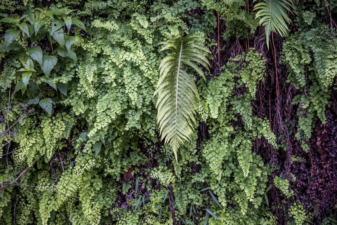 TNC in Texas has helped preserve over 99,000 acres of land above or contributing to the Edwards Aquifer. 🌿 In"5 Rules for Protecting Open Space", Dr. Francine Romero of <a href="/UTSA/">UTSA</a> highlights lessons the renowned Edwards Aquifer Protection Program model offers: nature.ly/4hnHKfw