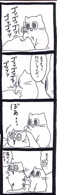 【猫】いたの 