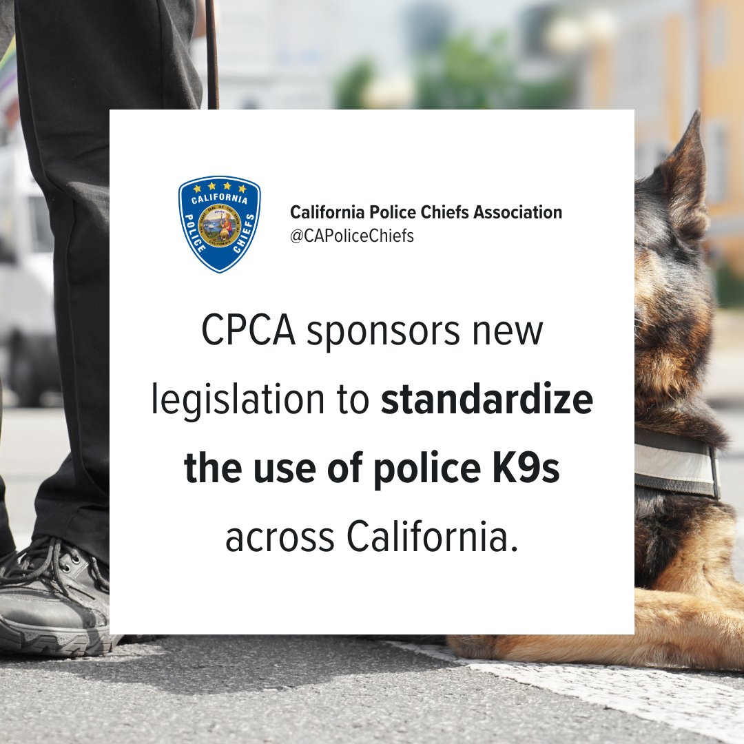 California Police Chiefs Association (@capolicechiefs) on Twitter photo Read more about AB 400, authored by Assemblymember Blanca Pacheco (D-Downey) <a href="/AsmPacheco/">Assemblywoman Blanca Pacheco</a> californiapolicechiefs.org/news/ca-police… Read more about AB 400, authored by Assemblymember Blanca Pacheco (D-Downey) <a href="/AsmPacheco/">Assemblywoman Blanca Pacheco</a> californiapolicechiefs.org/news/ca-police…