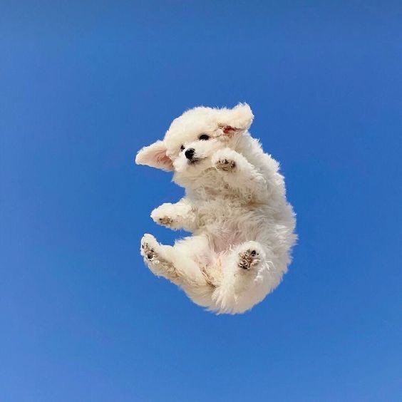 twaniimals's tweet photo. https://t.co/dO2ENsn9I8