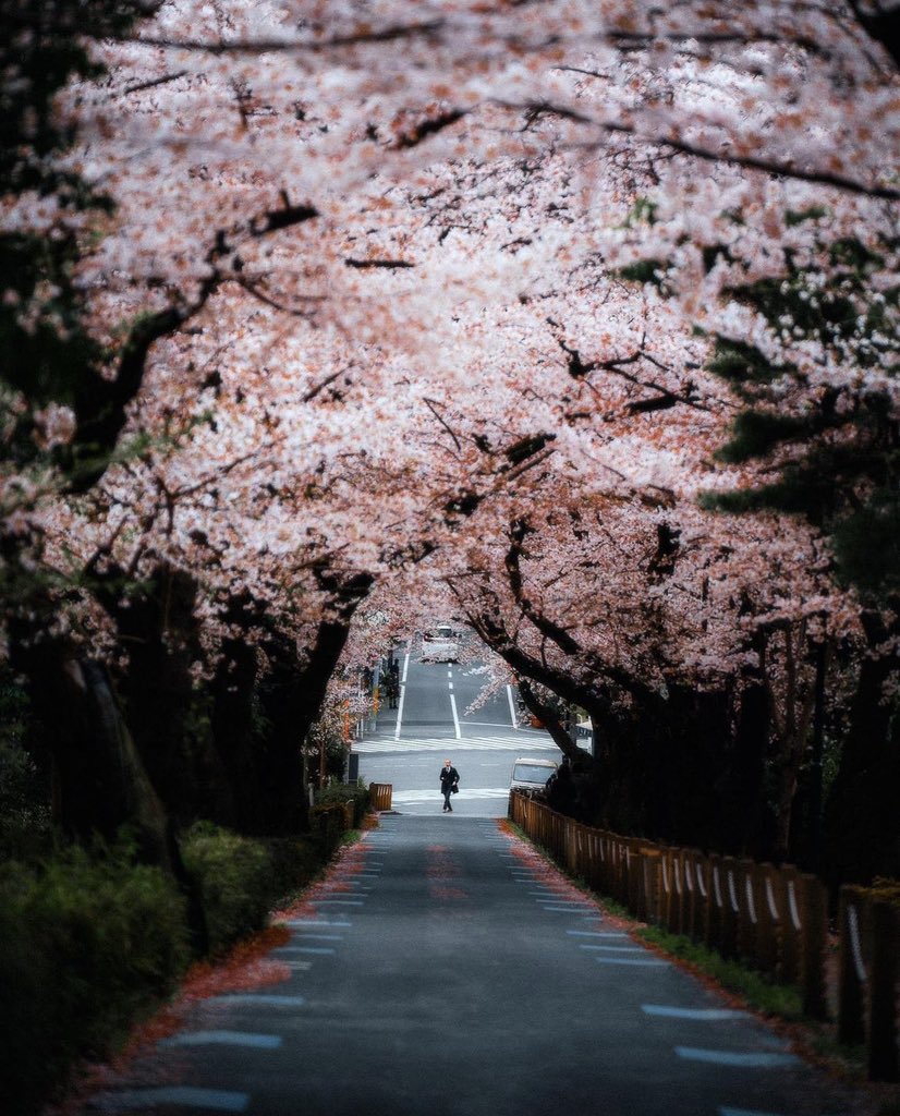Tokyo, Japan.