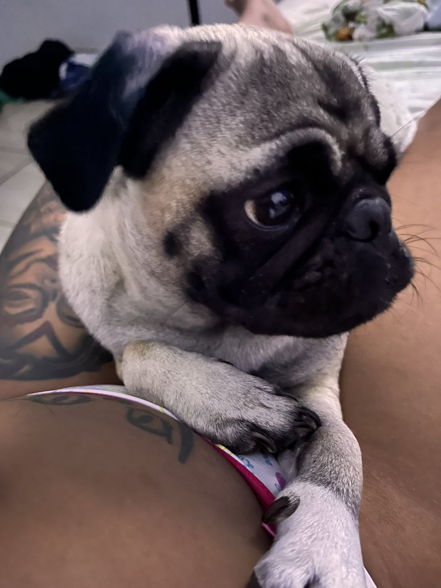 anehgomes's tweet photo. Filha 😍🥰 https://t.co/pAYAAZYAIT