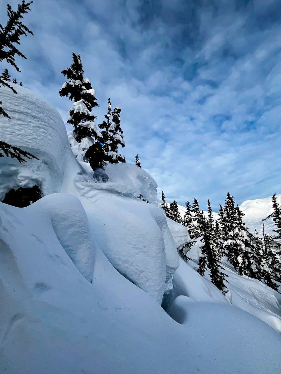 LastFrontHeli's tweet image. The magic continues with cool temps, light snow and dramatic sunrises. For daily ski reports, head to our #heliski conditions portal: bit.ly/3v1TQaY | #heliskiing