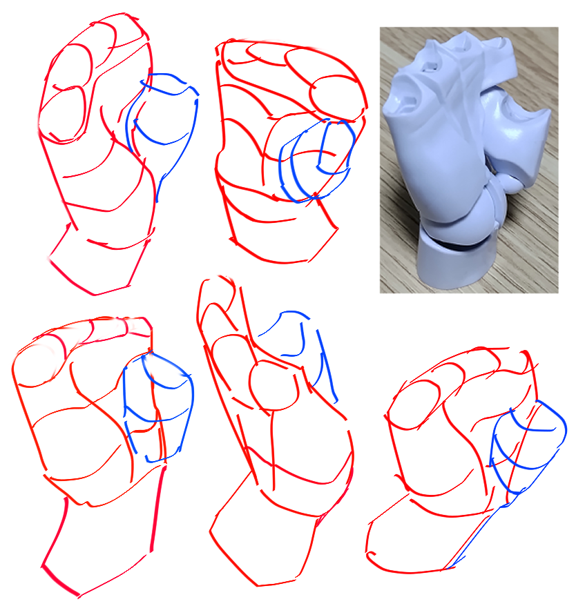 最近流行りの1/2ハンドモデルを購入しました。
4個セットだったので、1つは指のパーツを付けずに手のひらの立体構造勉強用として使用しています✋