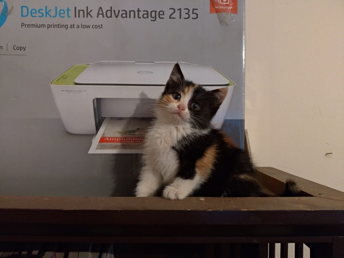 hale (@haalebulut) on Twitter photo 