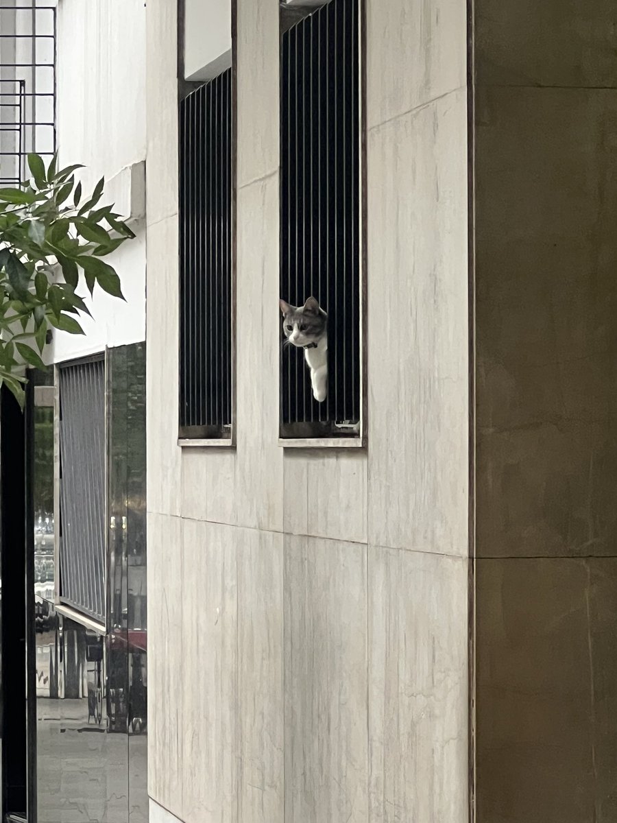 Chusmeando el barrio