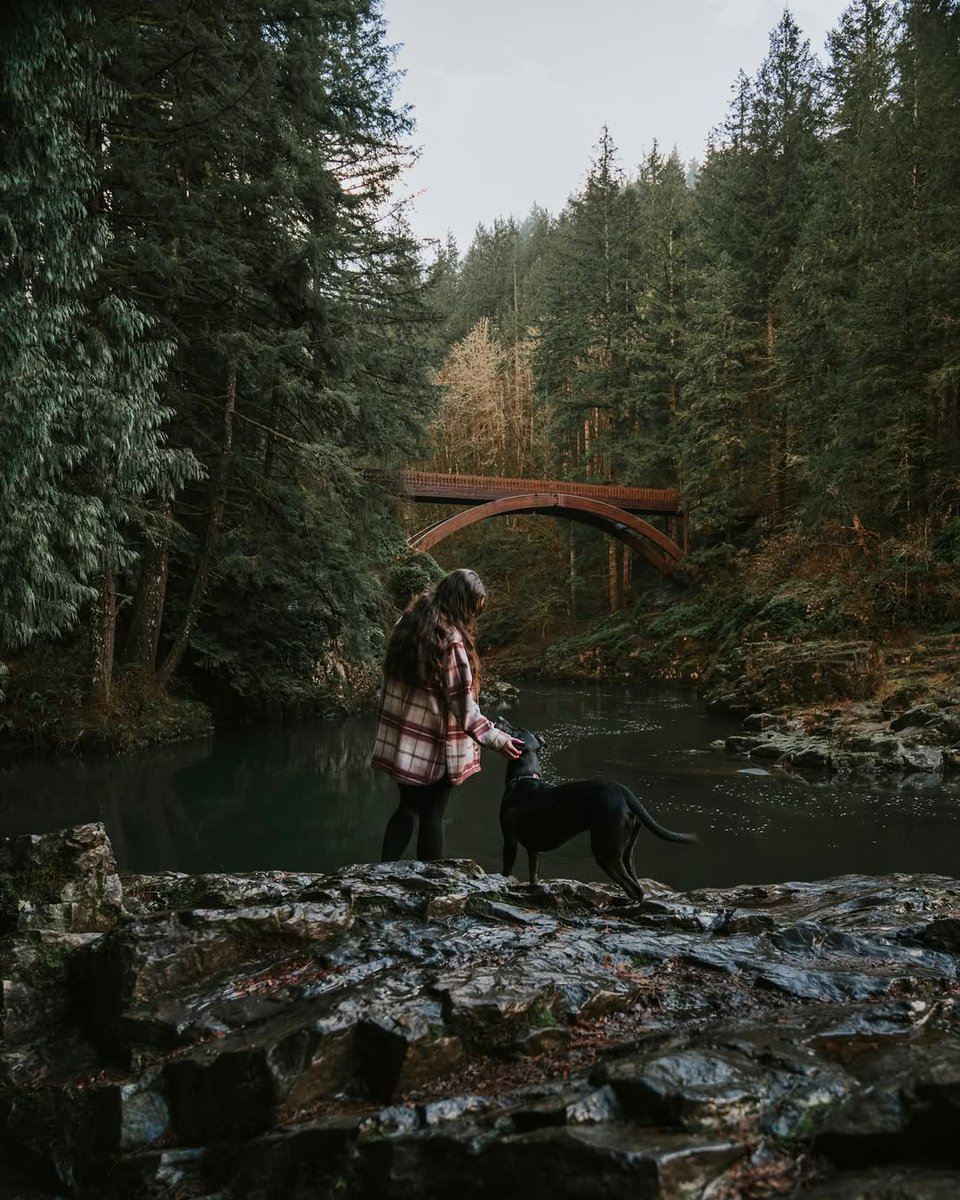 Taking in the stunning views at Moulton Falls Bridge with a pup is simply the best! 🌲🐾 

📸: maddieandmoose
📍: Moulton Falls Regional Park