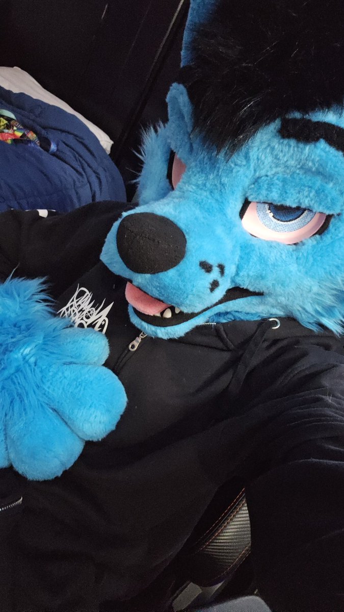BigStonedWolf @ Anthrocon 2026 tweet media