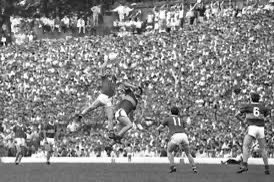 ross carr tweet media