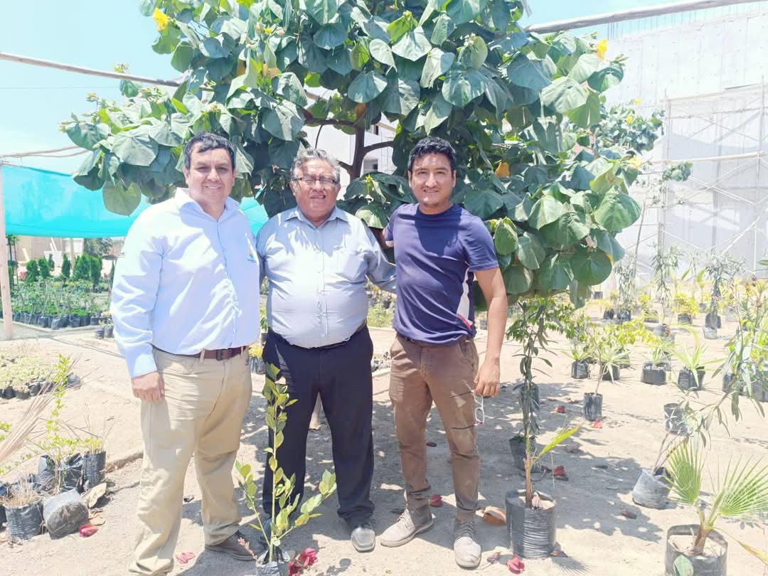 Legendarios_Vol's tweet photo. 🌱🌎 ¡100 MIL ÁRBOLES PARA TRUJILLO! 🌳💚

Gracias al Ing. Carlos Alva por apadrinar 5,000 árboles y donar 100 Meijos. 🌿 ¡Únete y sembremos vida! 📲 958550598

#100MilÁrbolesTrujillo #TrujilloVerde #SembrandoFuturo https://t.co/7vlVJlDnk8