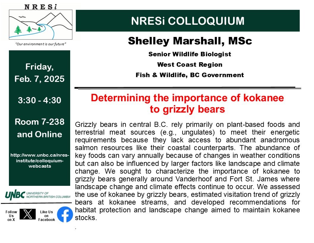 UNBC_NRESi's tweet image. NRESi Friday Colloquium
“Determining the importance of kokanee to grizzly bears” by Shelley Marshall
Date: Friday, February 7, 2025 – 3:30pm-4:30pm
Location: Room 7-238 and Online
Please find the link to our colloquium webcasts: www2.unbc.ca/nres-institute…
