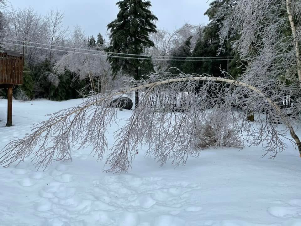 MikeMac2036's tweet photo. Wow, 3 years ago already since this ice storm #icestorm #Halifax #theweathernetwork  #Winter https://t.co/8M8x3QWWdL