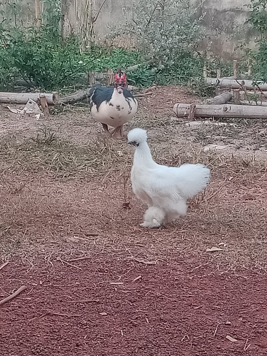 สิ่งเล็กๆ ที่เรียกว่าความสุข