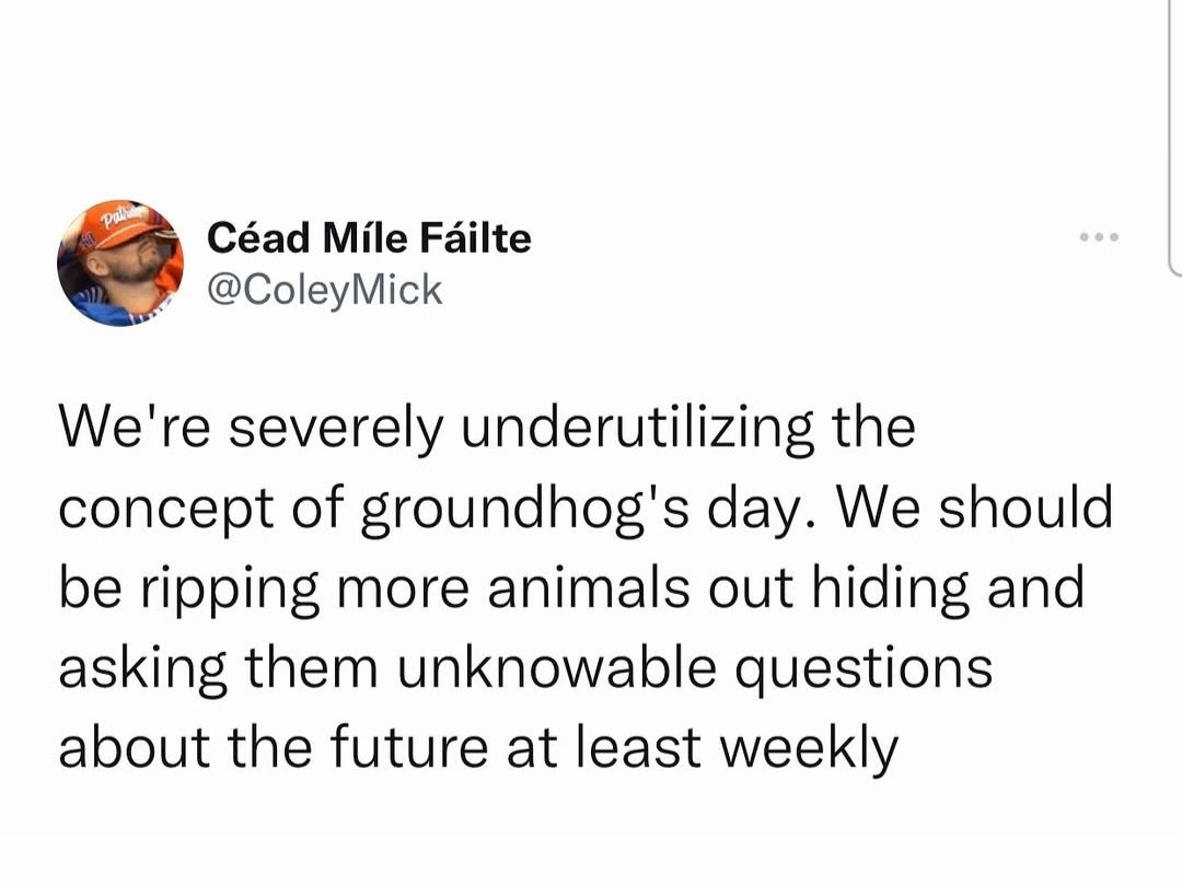 Gonna go find a squirrel and ask it what to make for dinner.