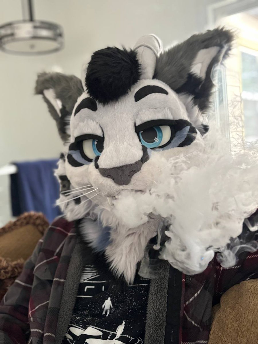 Sillverthorne's tweet photo. AND HERE HE IS!!!
Words cannot describe how happy I am right now, I've been waiting too many years for this moment and it's so hard to believe all that waiting paid off!
Enormous thanks to @WildDogWorks for bringing my boy to life!!
Expect many more pics to come soon 👀 https://t.co/QscYLCZQqp