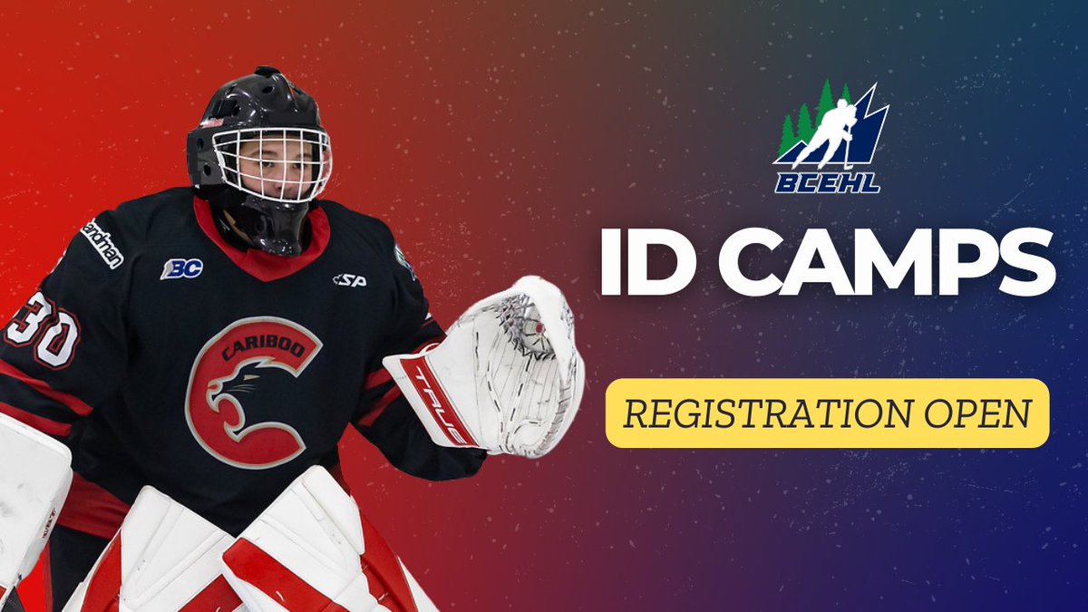 Registration is now open for our upcoming ID Camps! 🏒

#WeAreTheNorth
