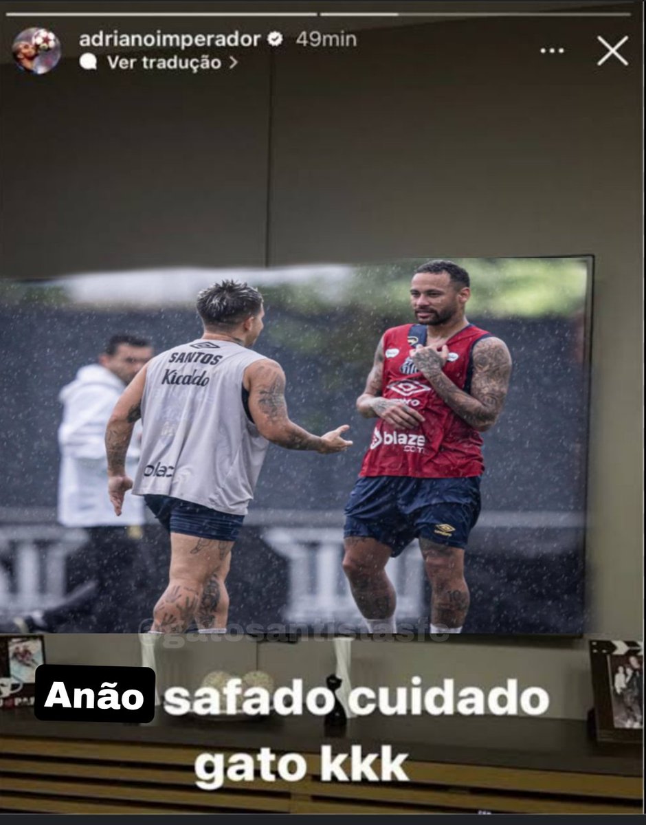 gatosantistasfc's tweet photo. https://t.co/YpEwdbwLOA