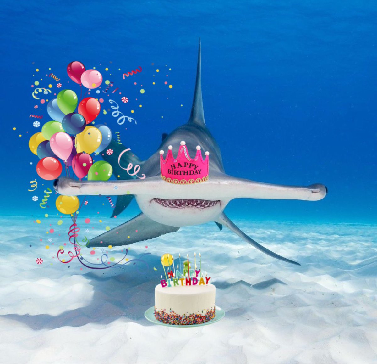 moaquarium's tweet photo. HAPPY BIRTHDAY TYUN 🦈🎂🎉 https://t.co/LjFTGx14Xp