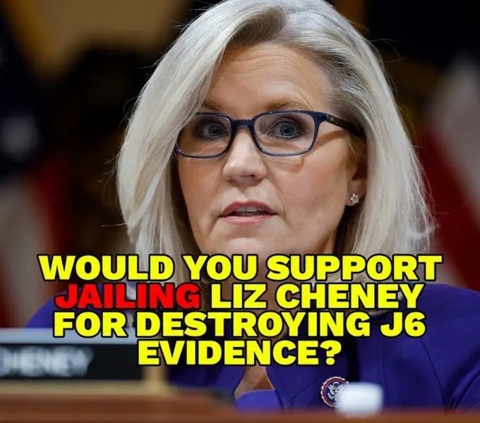 Anti Left Memes tweet media