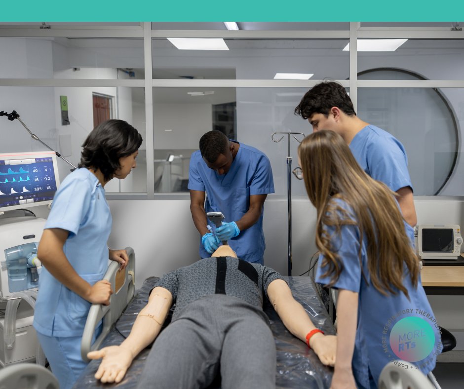 Lauren Driscoll tweet media