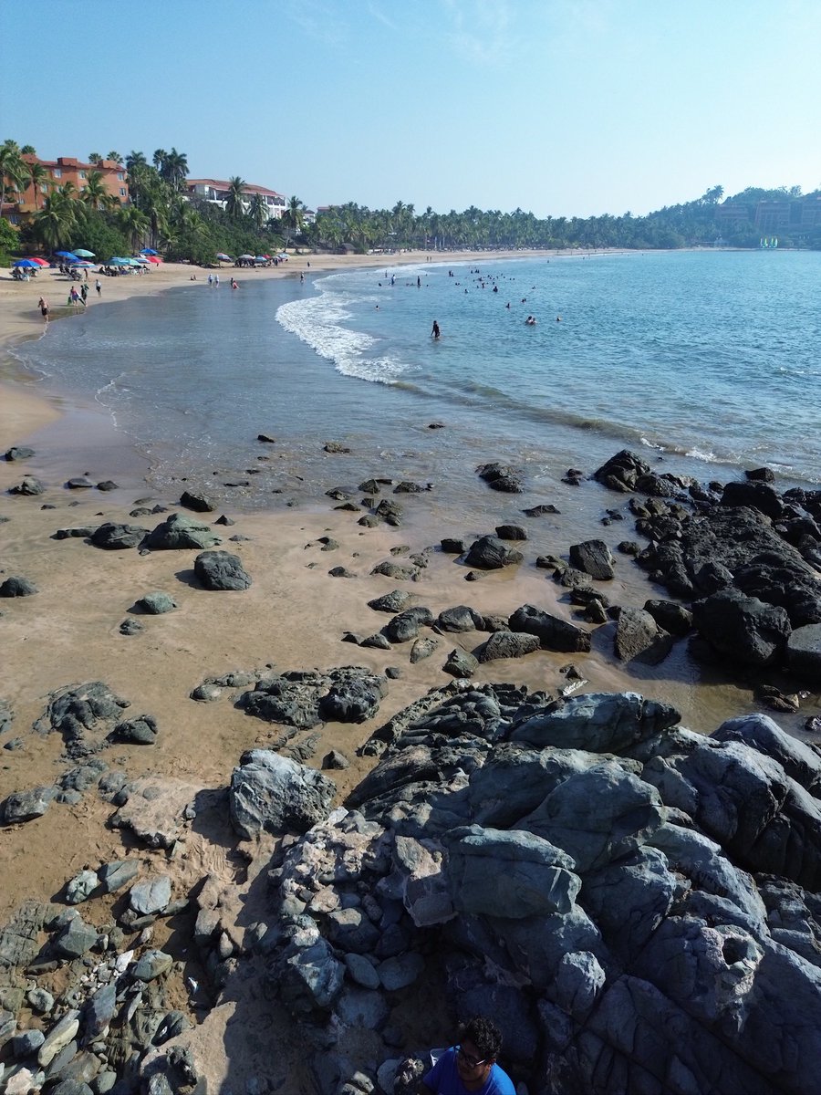 Yo soy Ixtapa Zihuatanejo tweet media