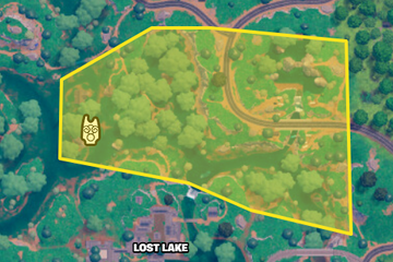 Encrypted tweet media