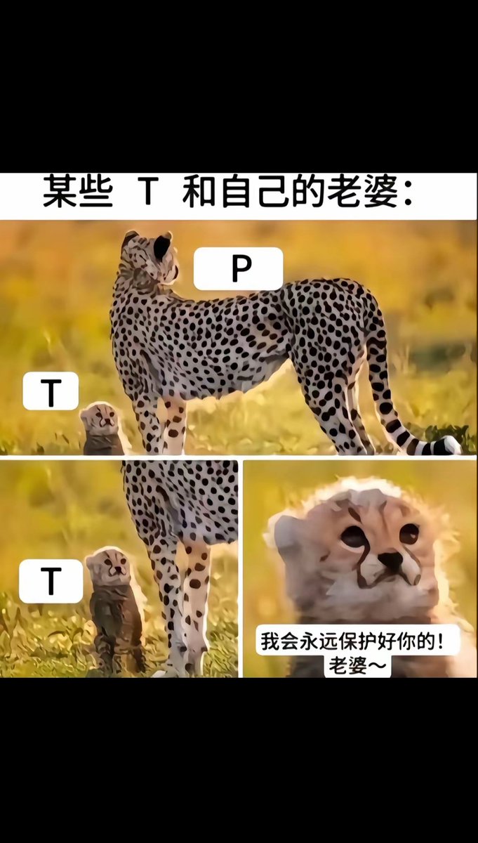 小新 tweet media