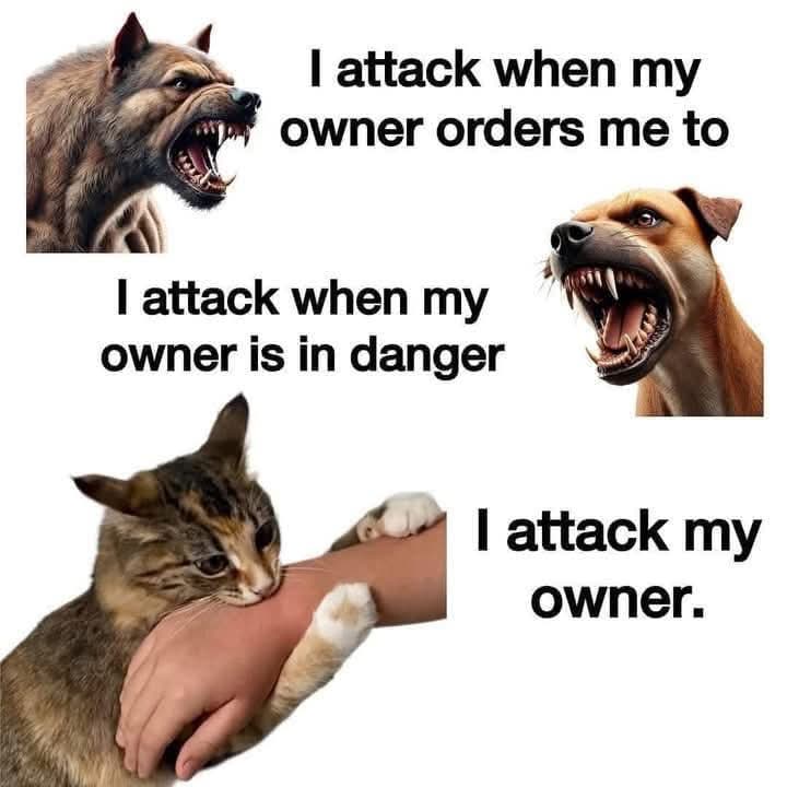 SER Rb 🛡🐯🎭 tweet media