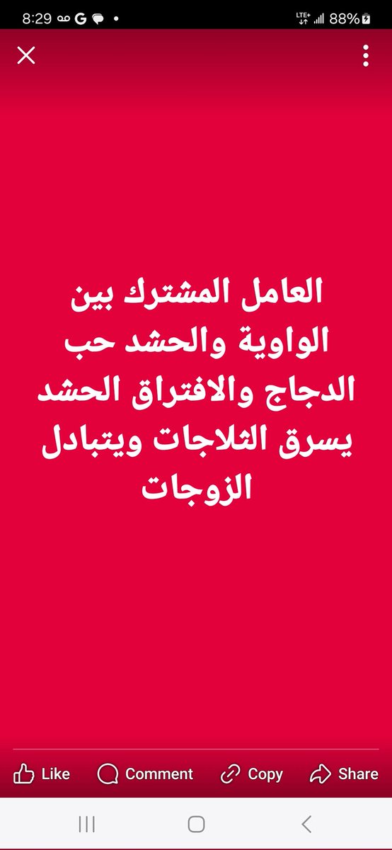 HamzaJassim8's tweet image. 